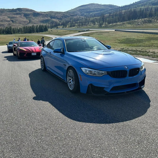 2015 BMW M4 (A. Sun)